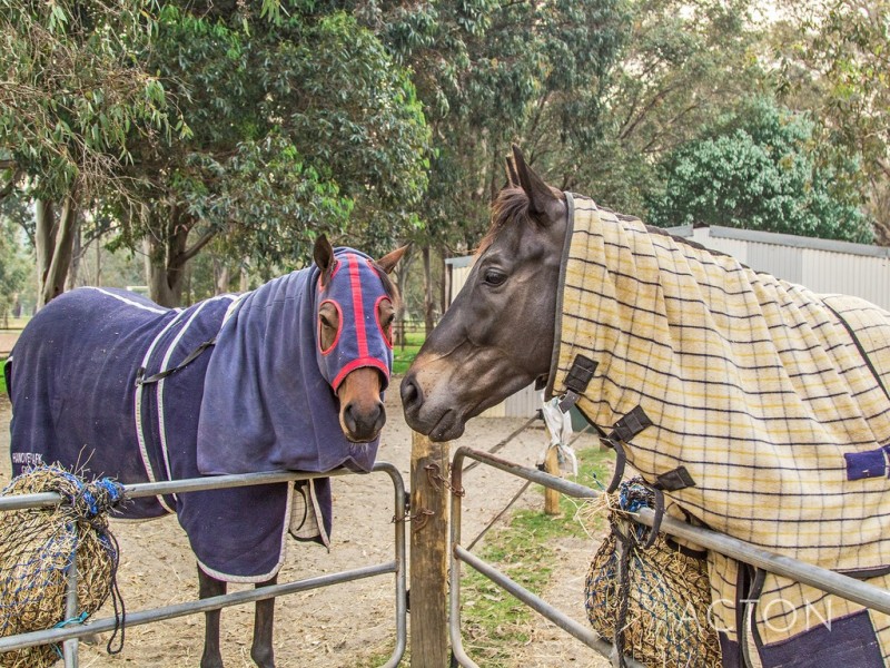 149 Wungong South Road, Darling Downs WA 6122