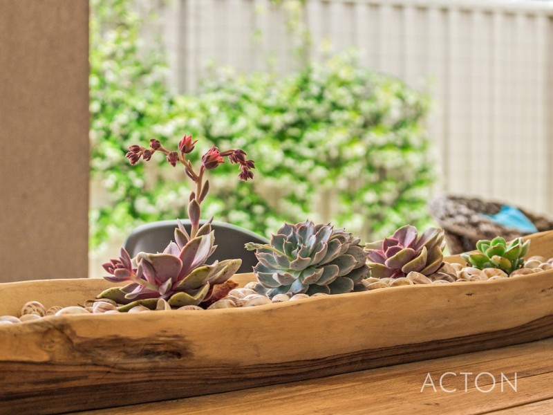 37 Scrivener Place, Halls Head WA 6210