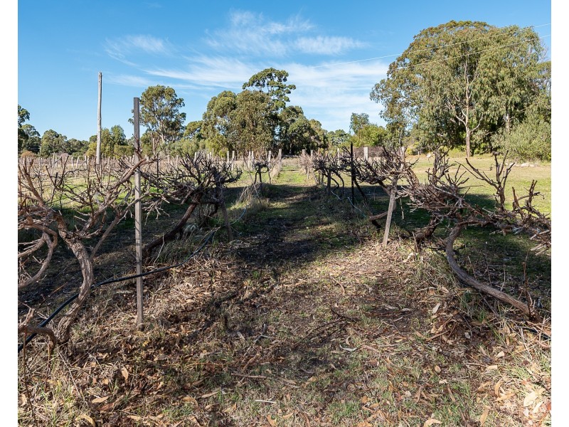 286 Newnham Road, Lake Clifton WA 6215