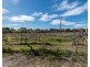 286 Newnham Road, Lake Clifton WA 6215