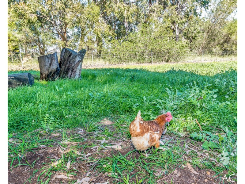 305 Burnside Road, Meelon WA 6208