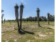 Lot 94 Hasluck Circuit, North Dandalup WA 6207