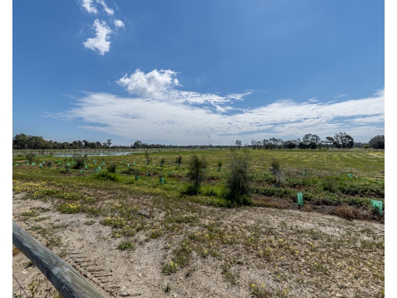 Lot 101 Hasluck Circuit, North Dandalup WA 6207