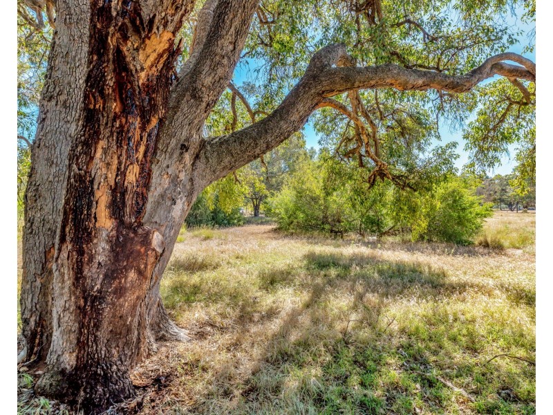 29 Coffey Road, Serpentine WA 6125