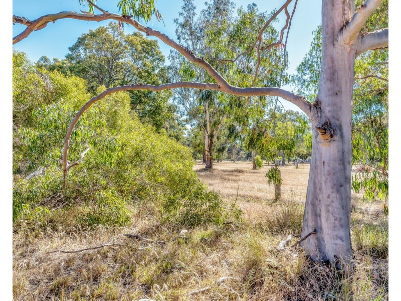 29 Coffey Road, Serpentine WA 6125