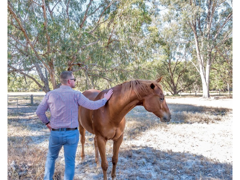 29 Coffey Road, Serpentine WA 6125