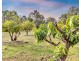 50 Yamba Drive, Keysbrook WA 6126
