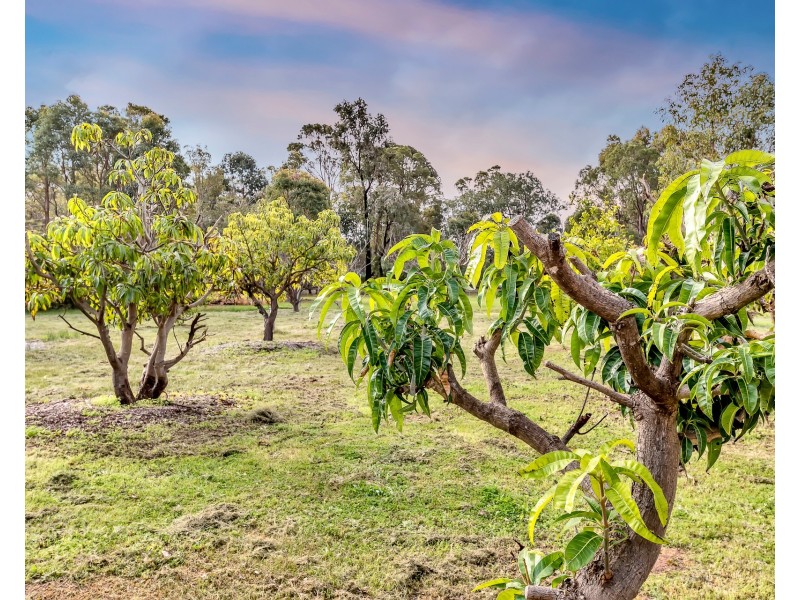 50 Yamba Drive, Keysbrook WA 6126