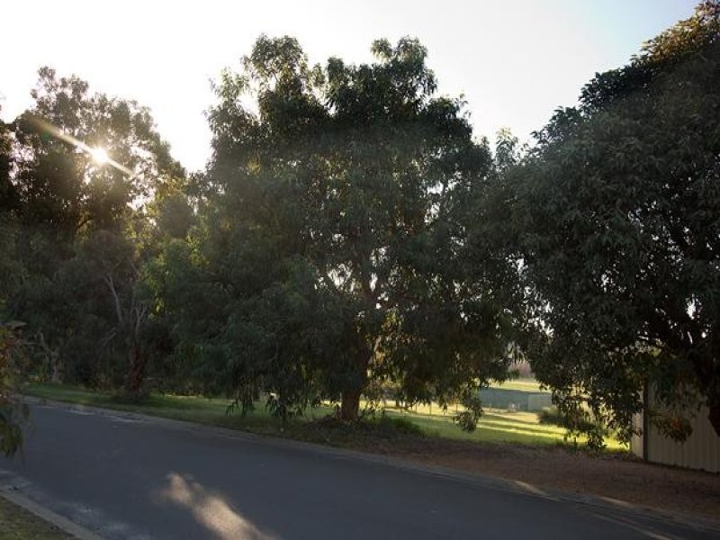 4 Nuytsia Close, Donnybrook WA 6239