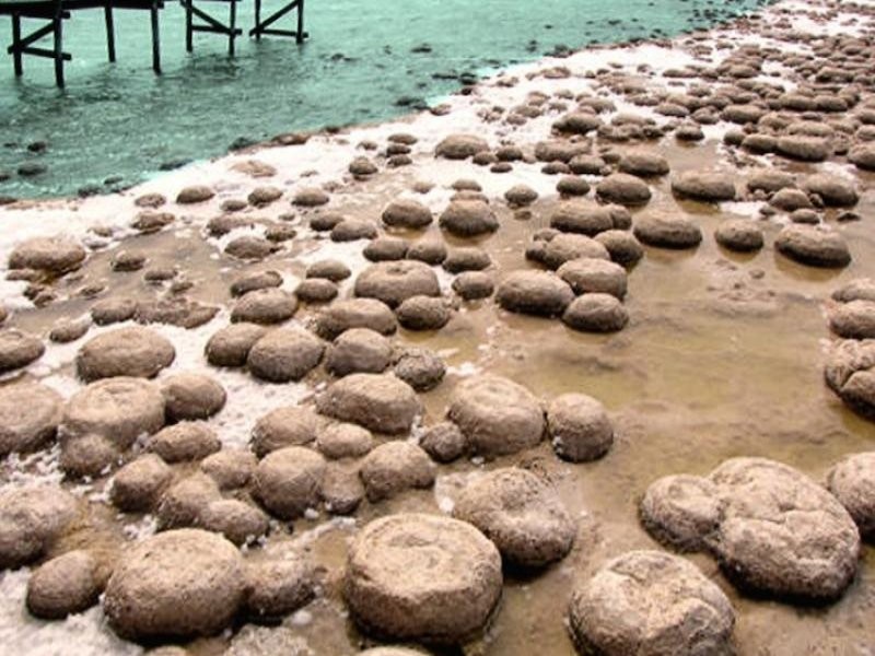 226 Southern Estuary Road, Herron WA 6211