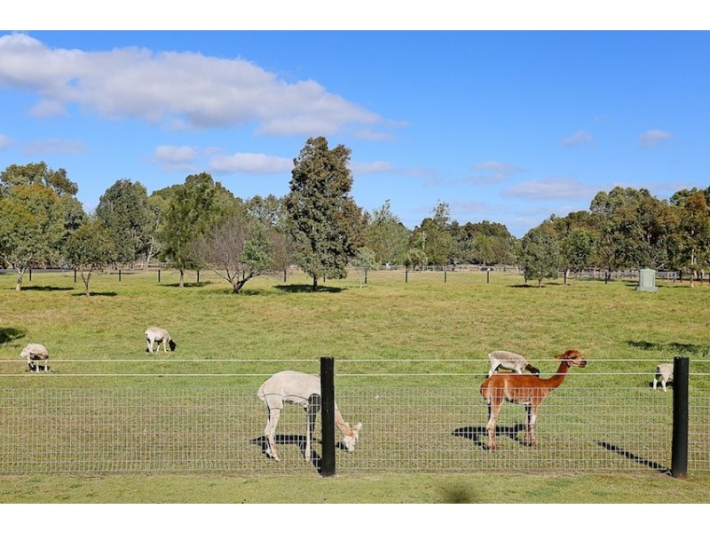 33 Cheyne  Court, Pinjarra WA 6208