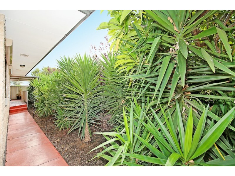 7 Comet Street, Dudley Park WA 6210
