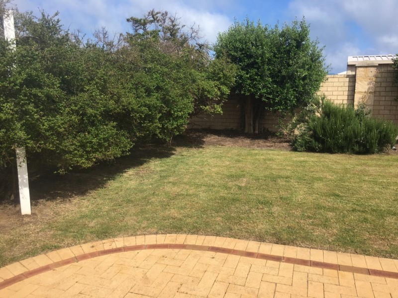 186 Peelwood Parade, Halls Head WA 6210