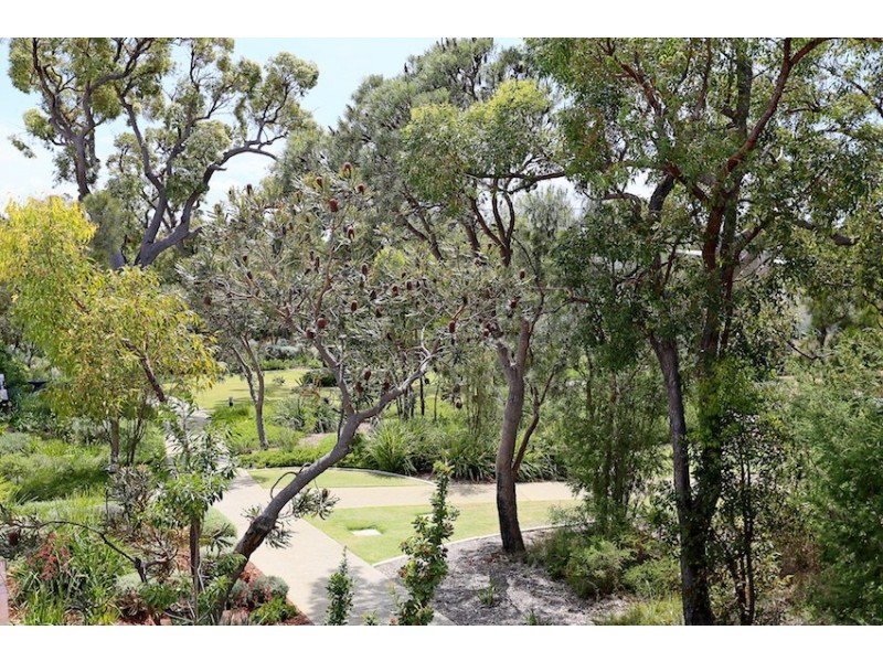 3 Whimbrel Crescent, Coodanup WA 6210