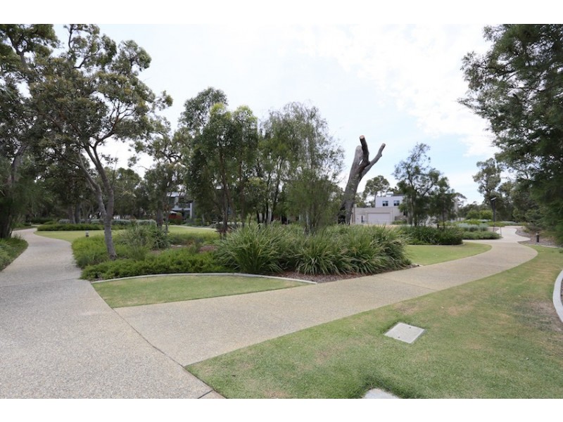 3 Whimbrel Crescent, Coodanup WA 6210