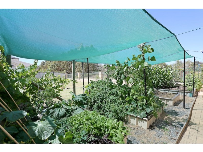 30 Brackenridge Ramble, Meadow Springs WA 6210