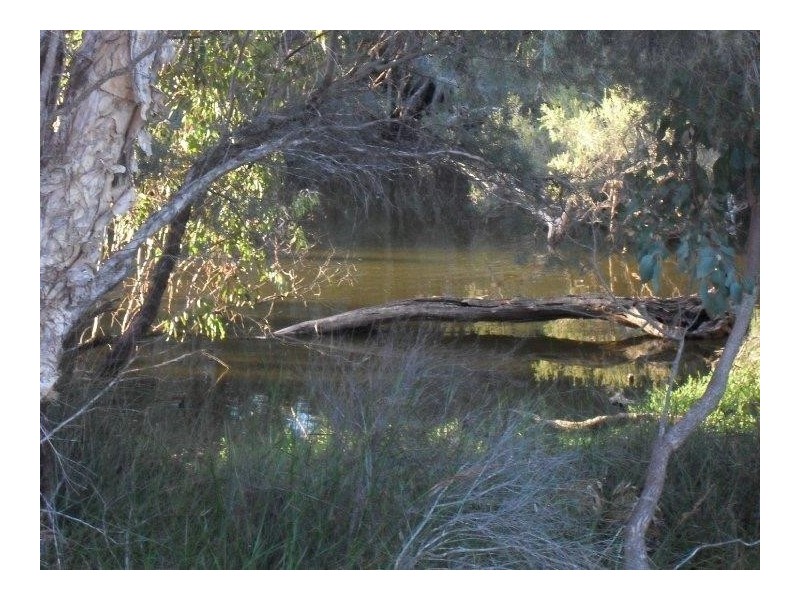 125 Countess Circuit, South Yunderup WA 6208