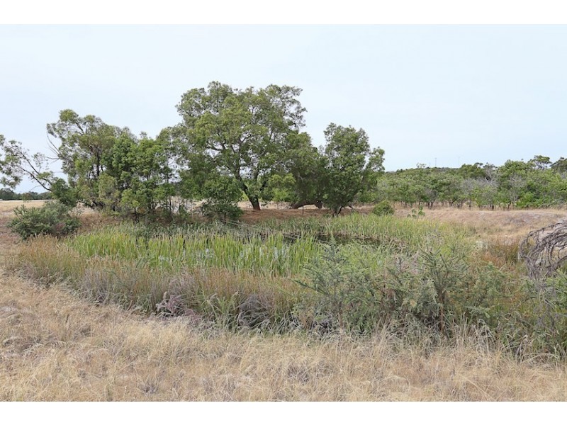 7 Stacey  Rise, Lake Clifton WA 6215