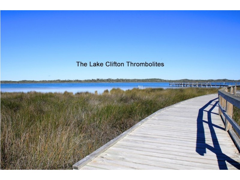 7 Stacey  Rise, Lake Clifton WA 6215