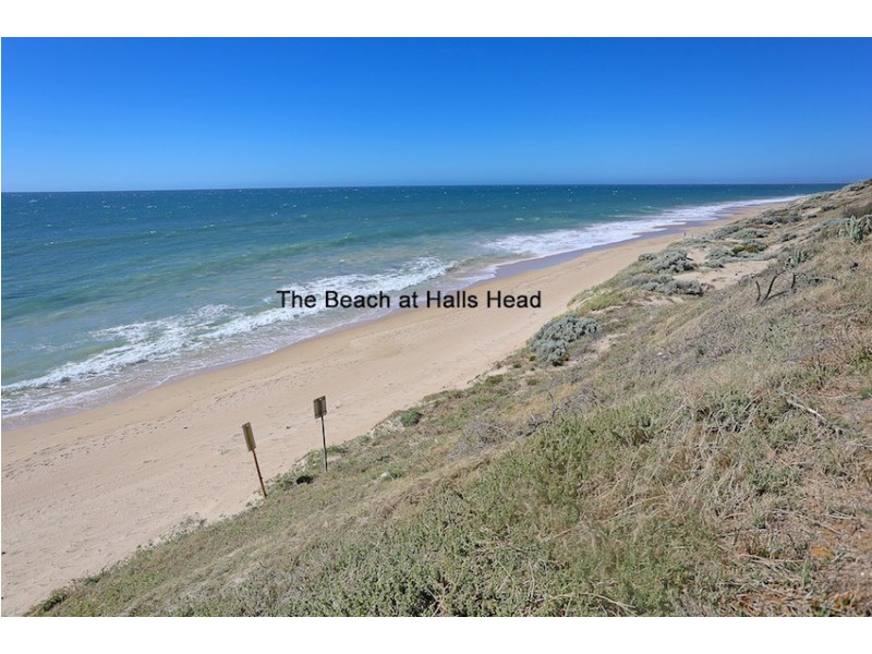 41 Buttercup Parkway, Halls Head WA 6210