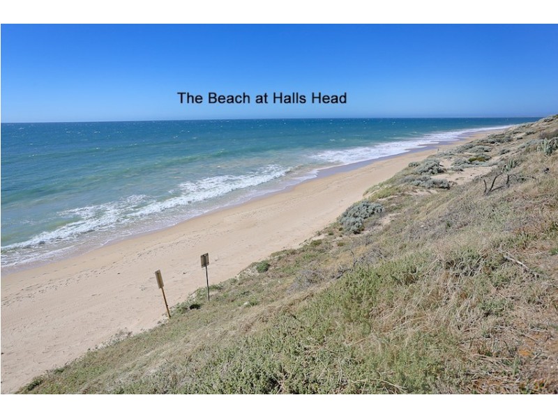 9 Solandri Turn, Halls Head WA 6210