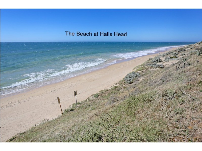 10A Coppercups Place, Halls Head WA 6210