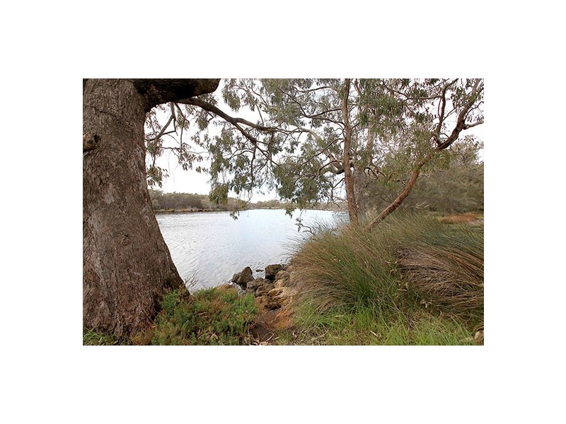 Lot 342 Gallinago Loop, Coodanup WA 6210
