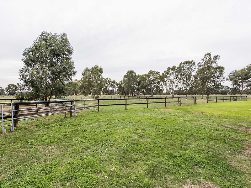 72 Cheyne Court, Pinjarra WA 6208