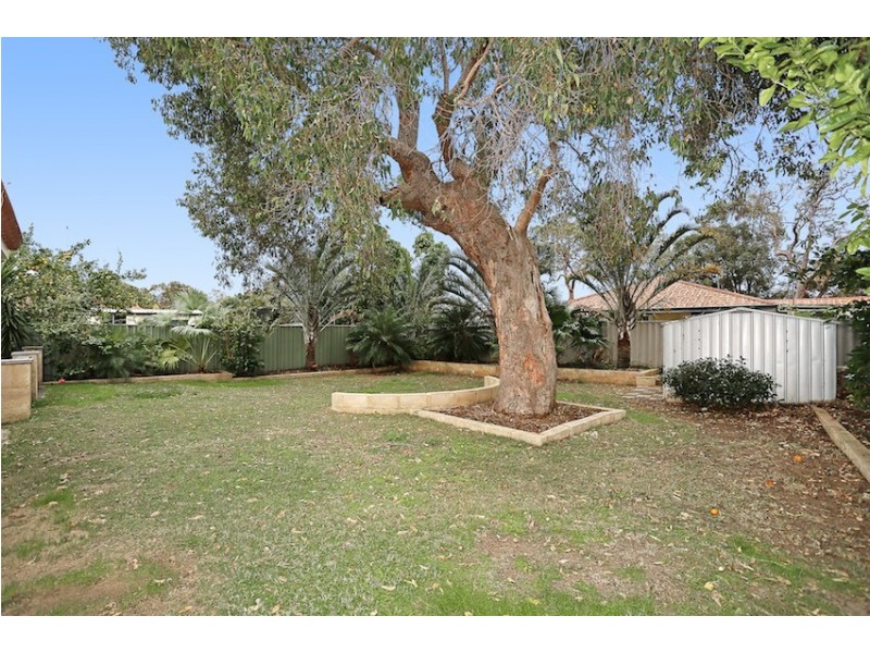 19 Willoughbridge Crescent, Erskine WA 6210