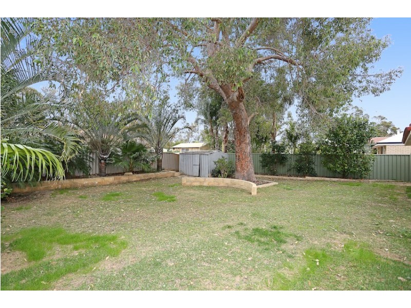 19 Willoughbridge Crescent, Erskine WA 6210