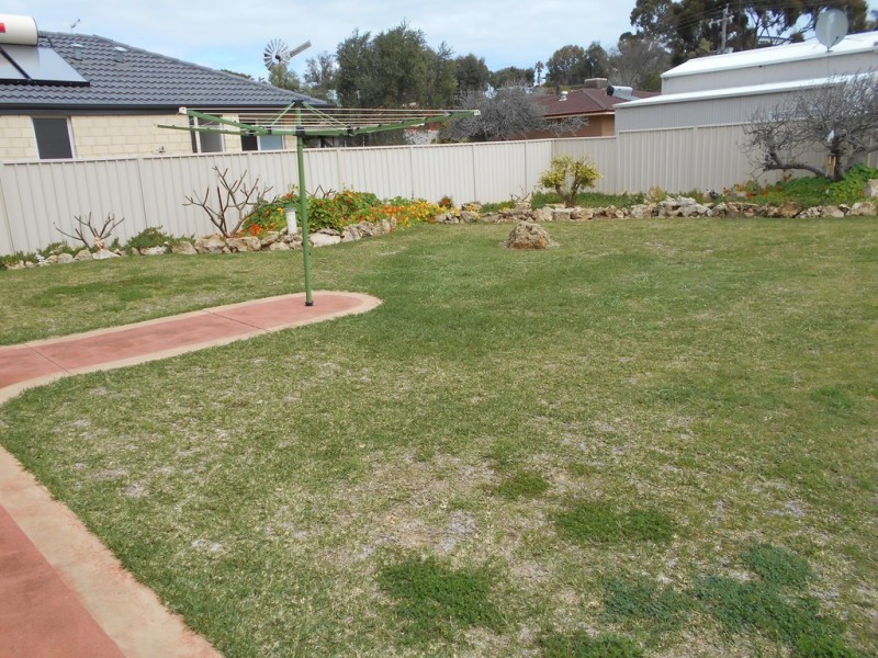 62 Mary Street, Halls Head WA 6210