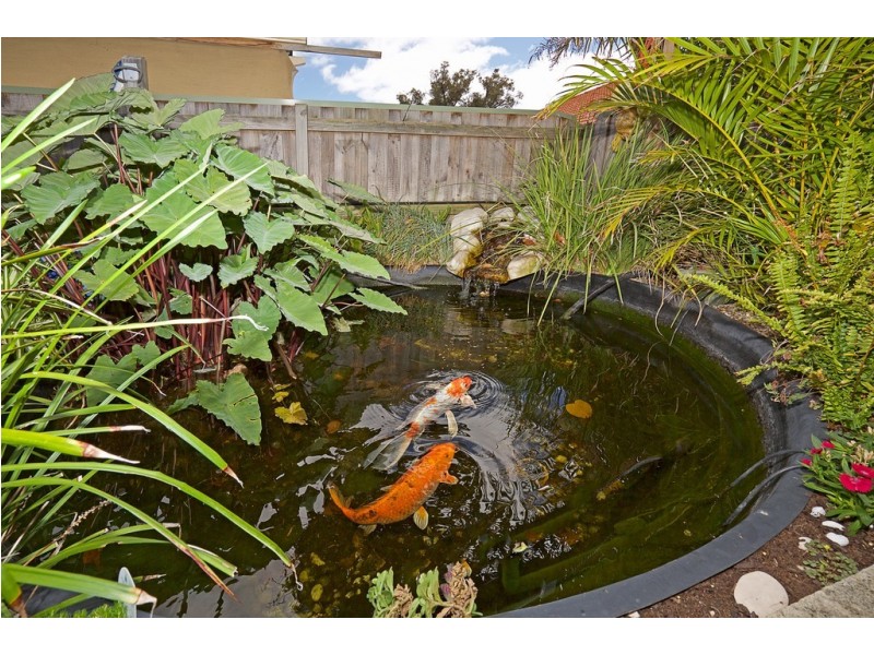 60 Chatsworth Drive, Erskine WA 6210