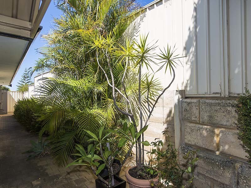 9 Staunton Rise, Halls Head WA 6210