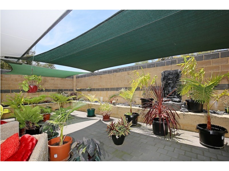 36 Arpenteur Turn, Madora Bay WA 6210
