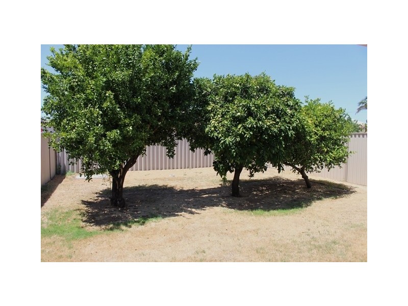 36 Kitchener Street, Dudley Park WA 6210