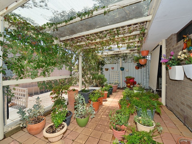 8 Deering Drive, North Yunderup WA 6208