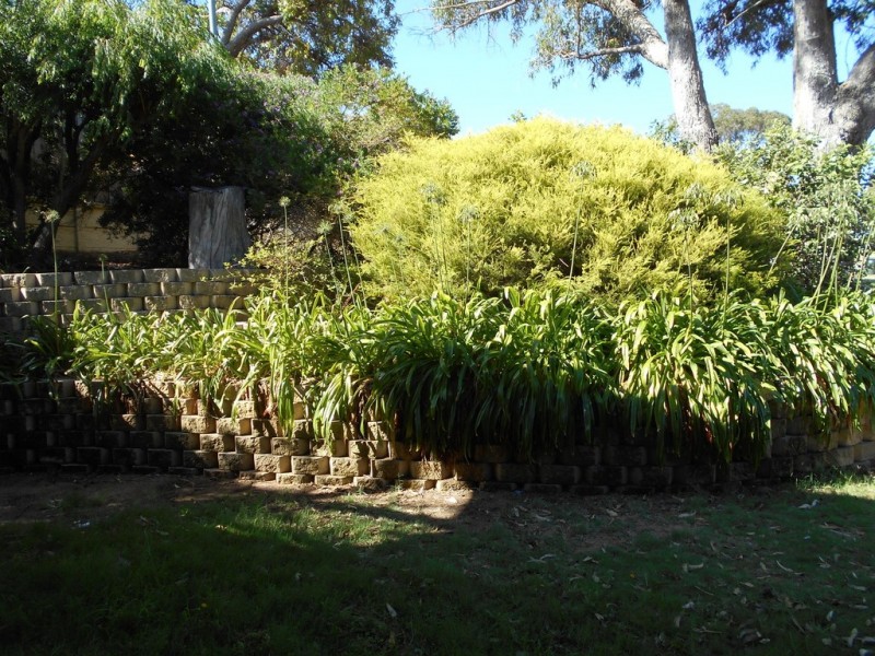 11 Winya Way, Falcon WA 6210