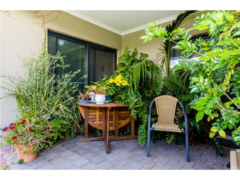 14 Butcherbird Loop, Erskine WA 6210