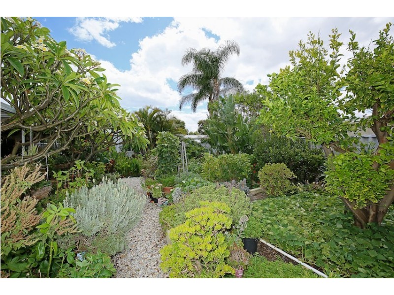 3 Birtles Grove, Erskine WA 6210