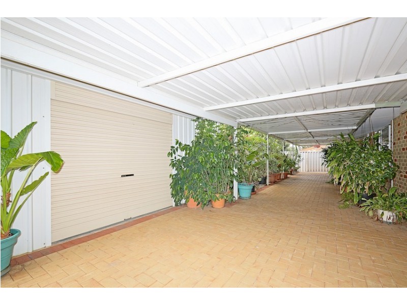 3 Birtles Grove, Erskine WA 6210