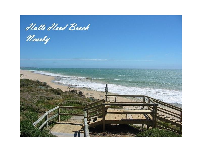 2 Hibiscus Rise, Halls Head WA 6210