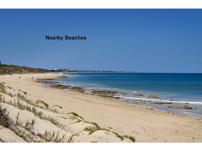 14 Scrivener Place, Halls Head WA 6210