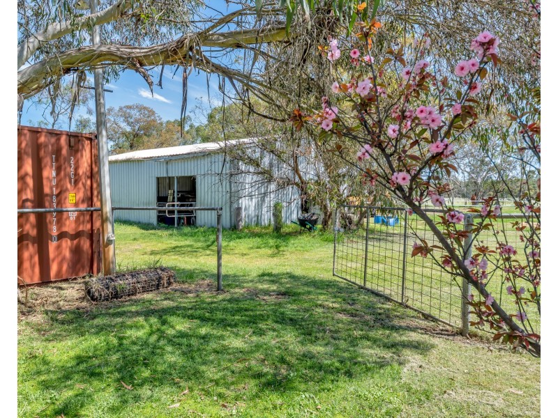 237 Young Road, Baldivis WA 6171
