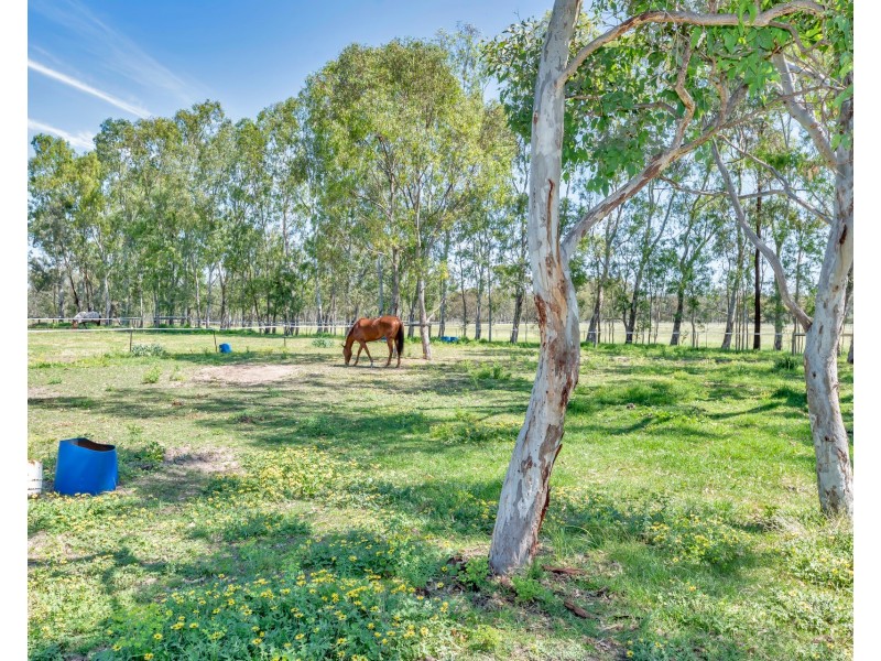 237 Young Road, Baldivis WA 6171
