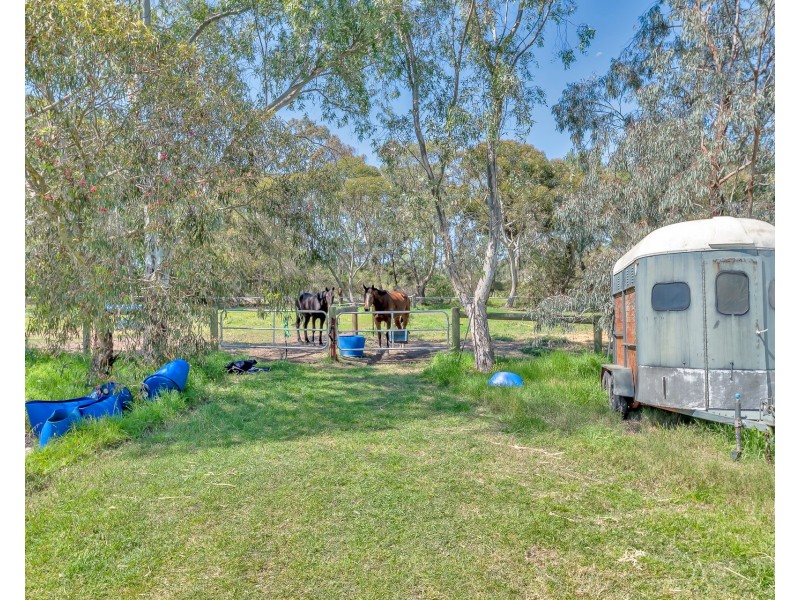 237 Young Road, Baldivis WA 6171