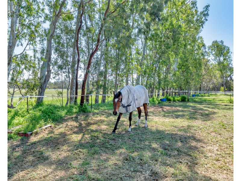 237 Young Road, Baldivis WA 6171