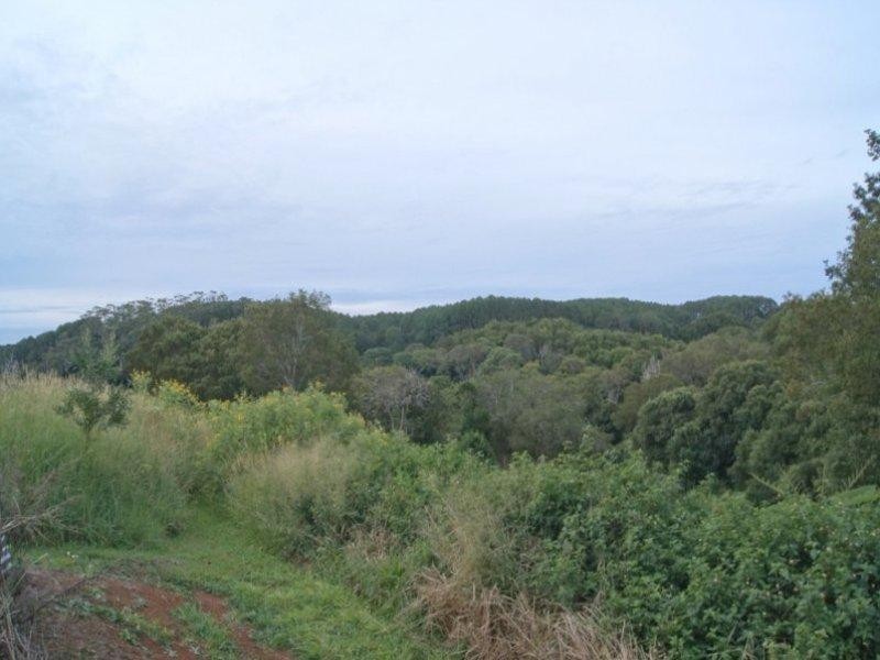 93 Western Avenue, Montville QLD 4560