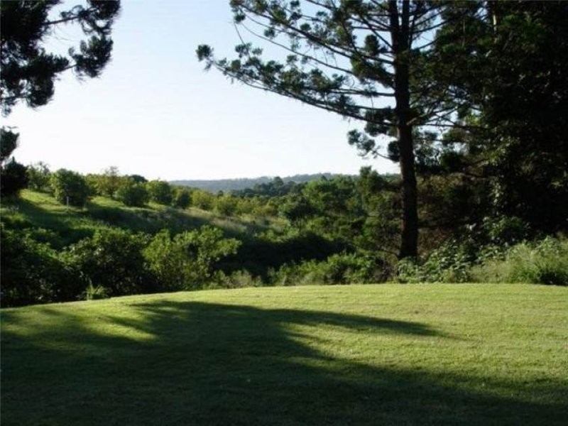 93 Western Avenue, Montville QLD 4560