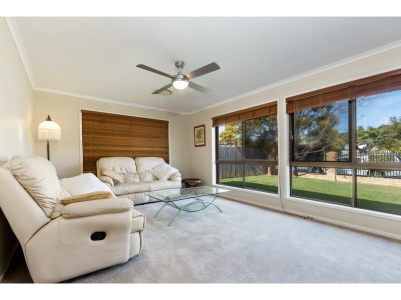 20 Daniel Court, Scarborough QLD 4020