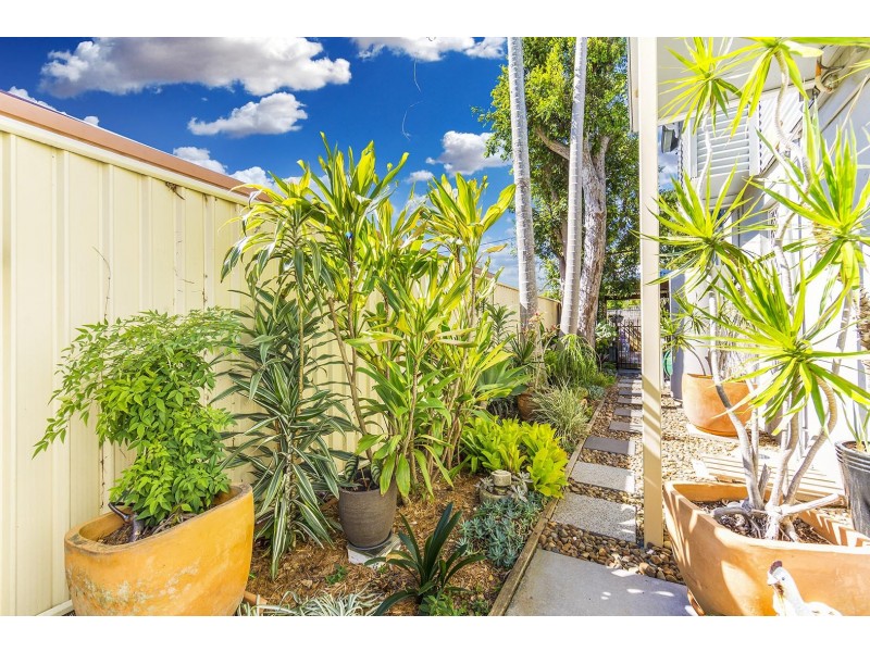 73 Kate St, Woody Point QLD 4019